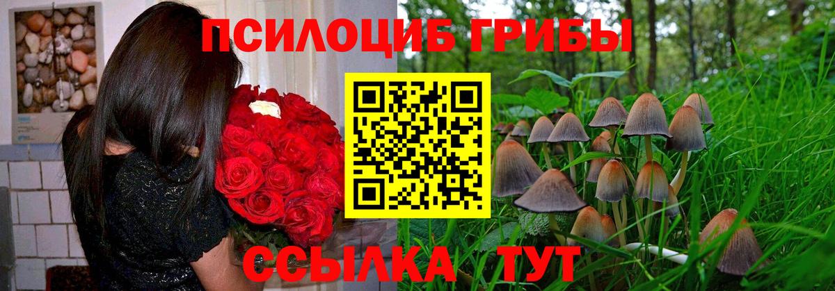 Псилоцибиновые грибы Cubensis  Псилоцибиновые грибы Psilocybe  Вход с VPN  Балтийск 