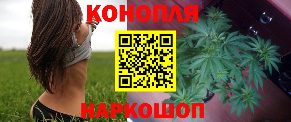 Каннабис Ganja  Шишки марихуана Ganja  Балтийск  МАРИХУАНА THC 21%  Вход с VPN 